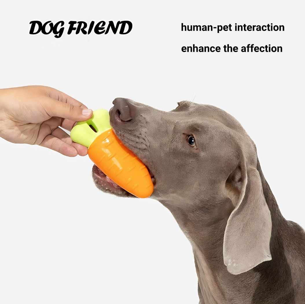 Vegetable Squeaky Toy