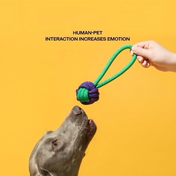Cotton Knotted Ball Toy