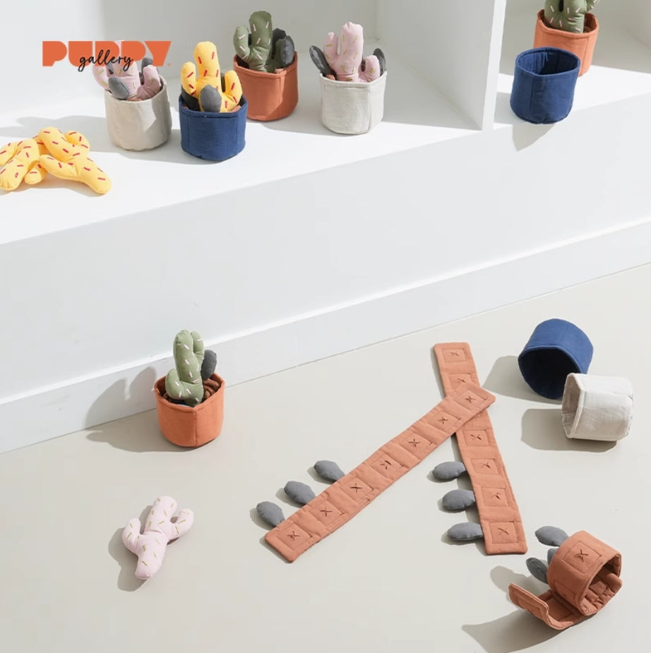 Cactus Nosework Toy