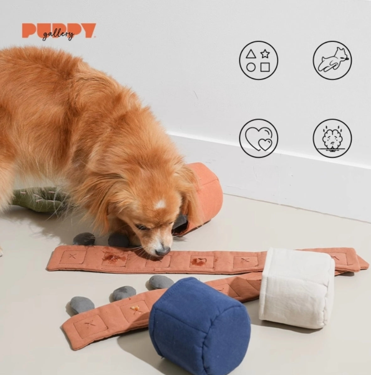 Cactus Nosework Toy