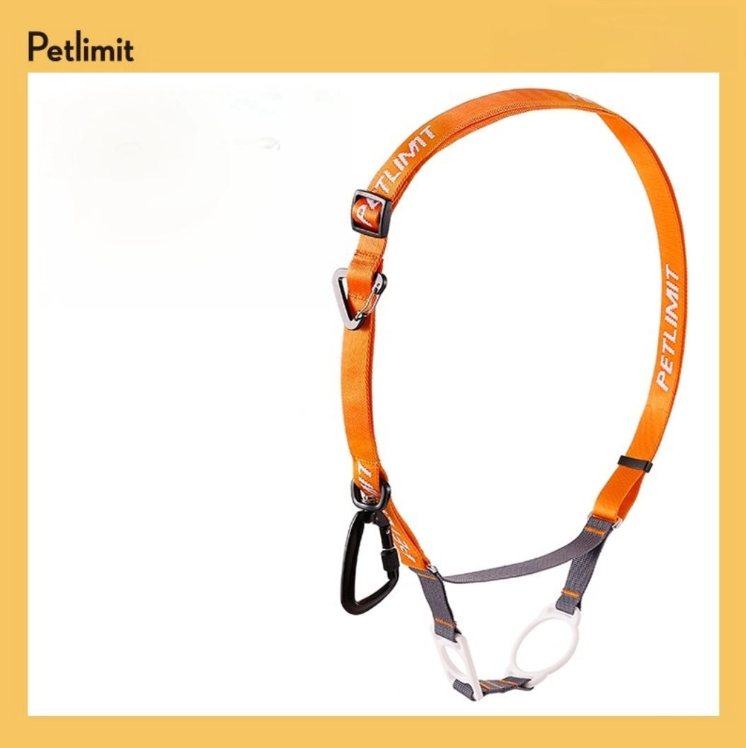 PetLimit: Hands-free Leash Adapter