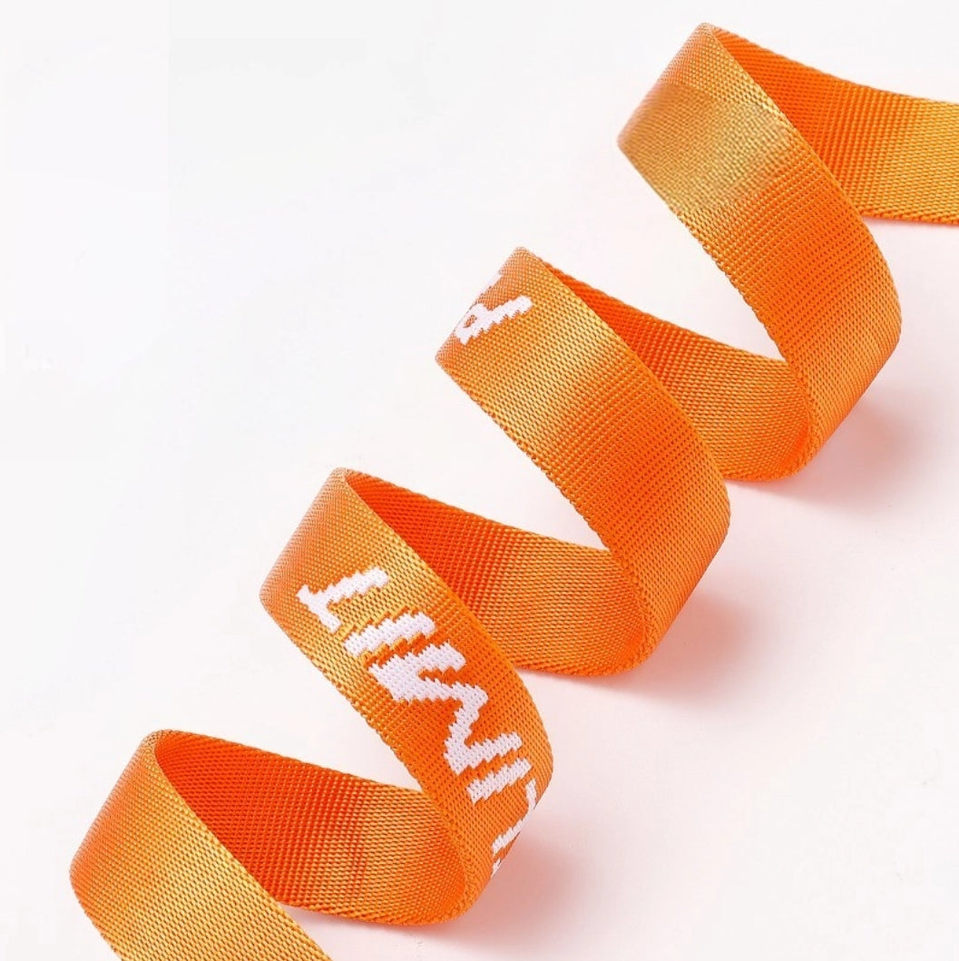 PetLimit: Hands-free Leash Adapter