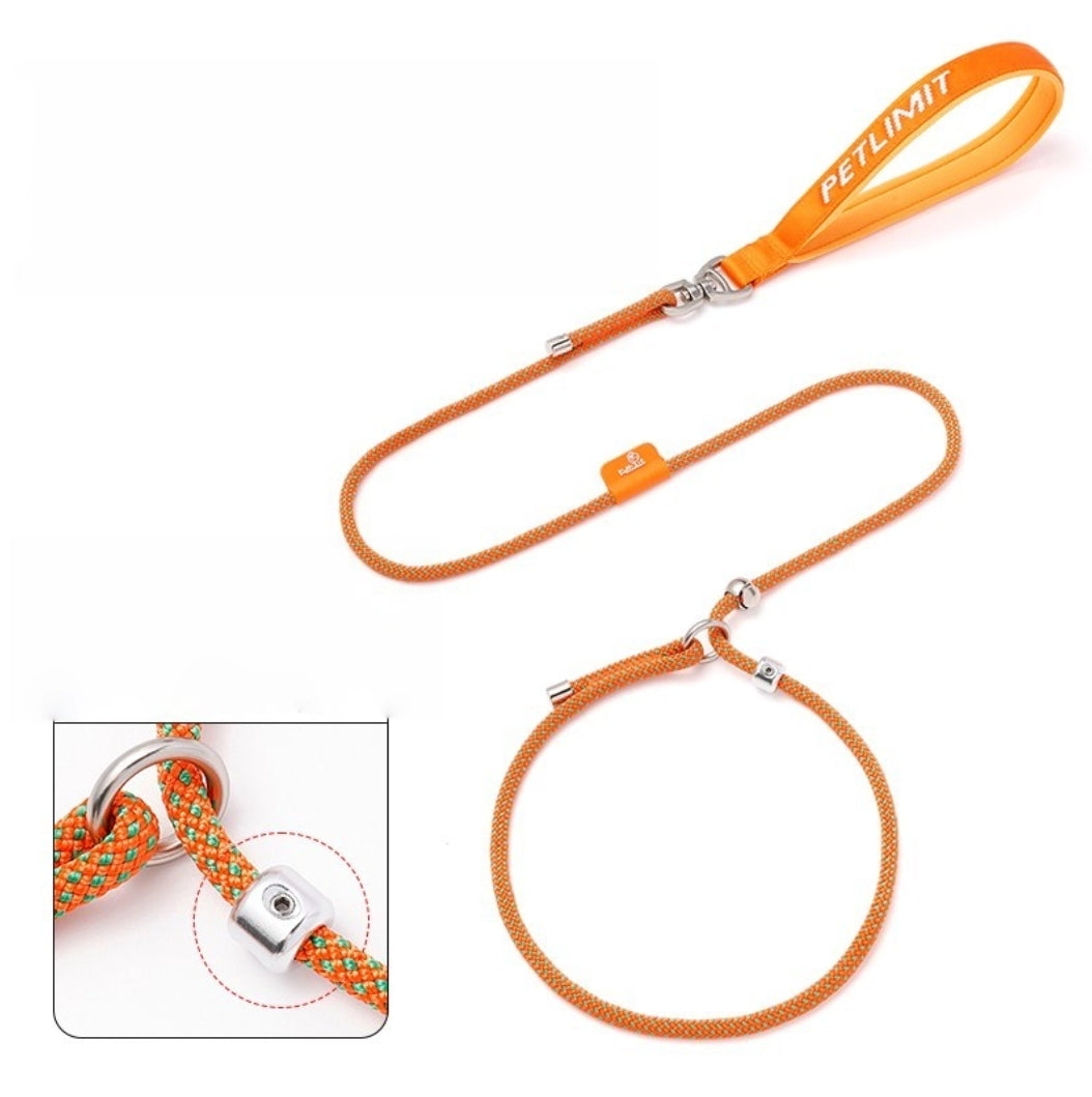 Petlimit: Dog P Chain Slip Leash