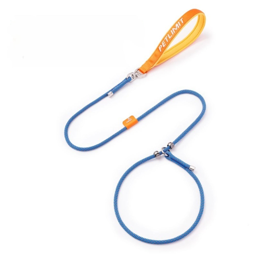 Petlimit: Dog P Chain Slip Leash