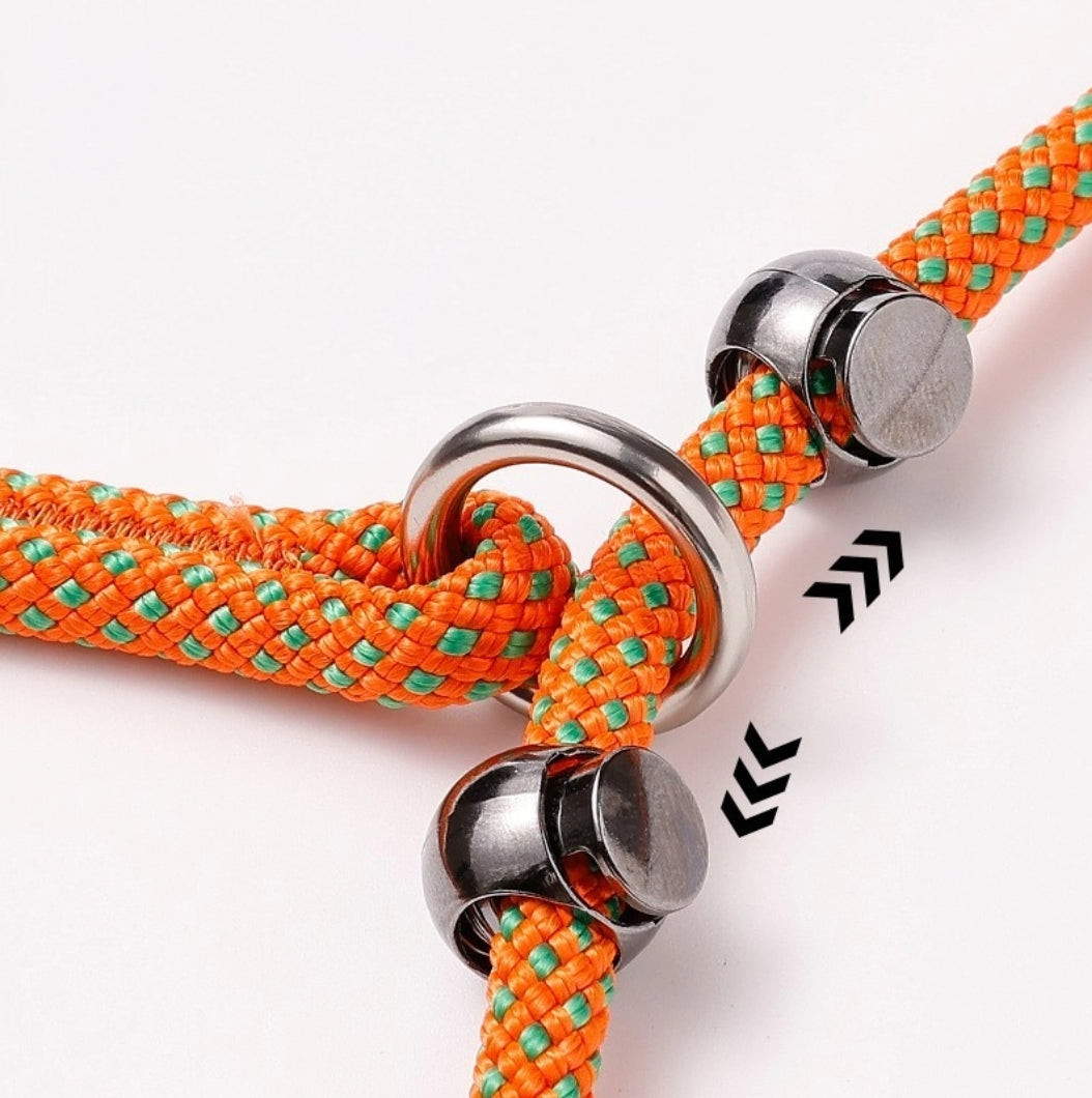 Petlimit: Dog P Chain Slip Leash