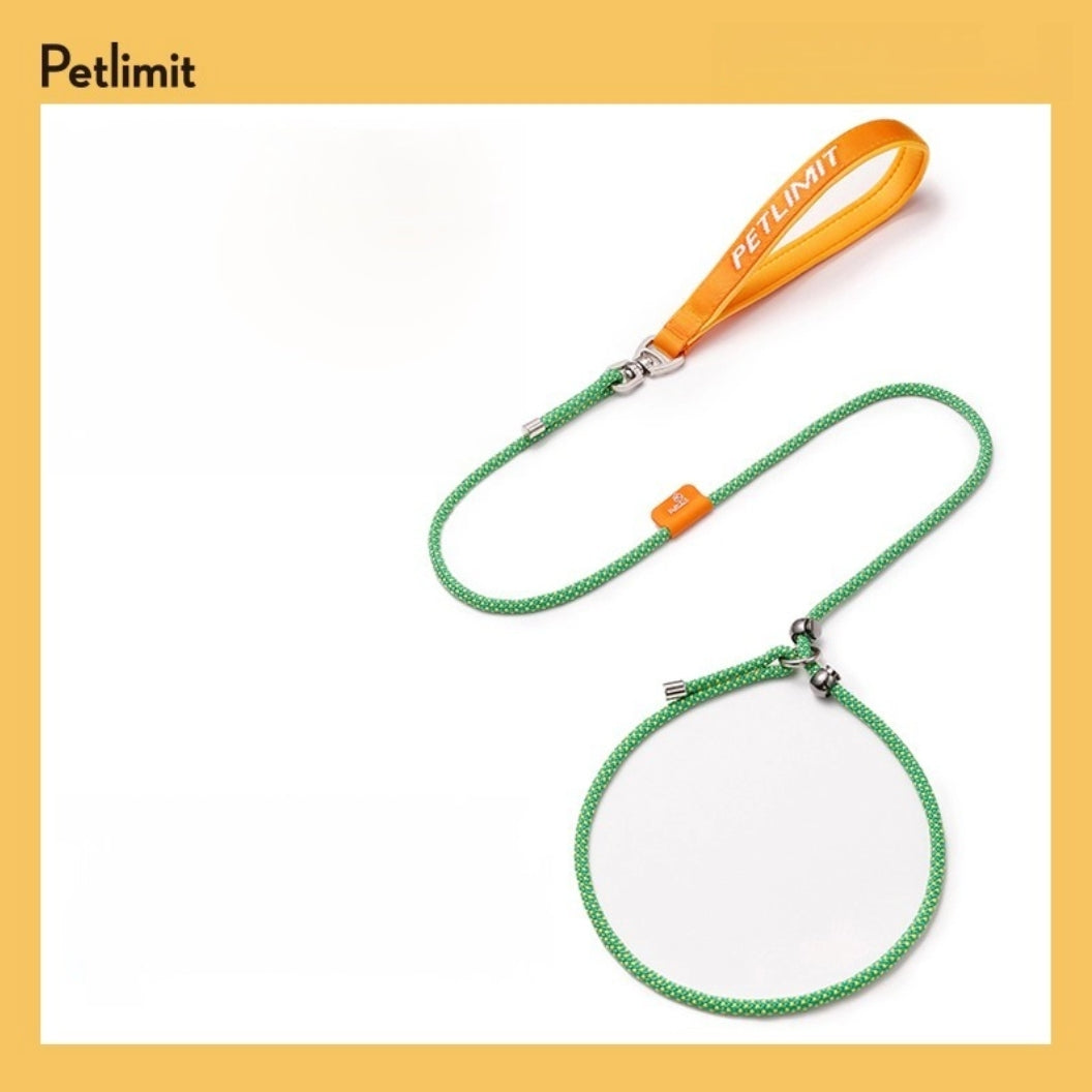 Petlimit: Dog P Chain Slip Leash