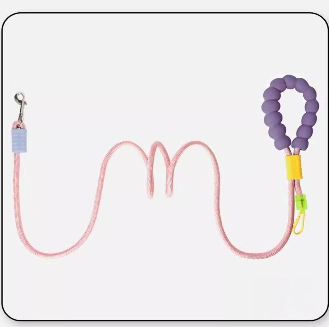 Multi-functional Dog Leash