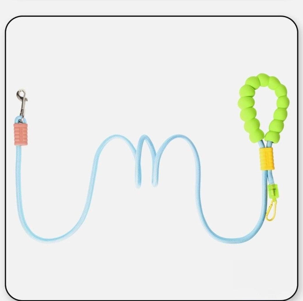 Multi-functional Dog Leash