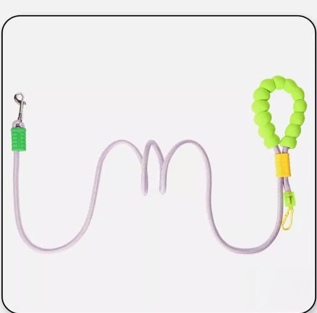 Multi-functional Dog Leash