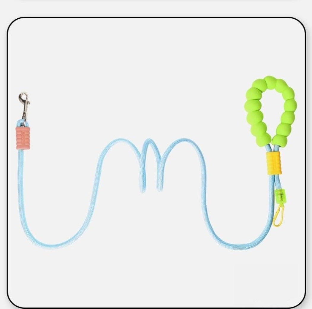 Multi-functional Dog Leash