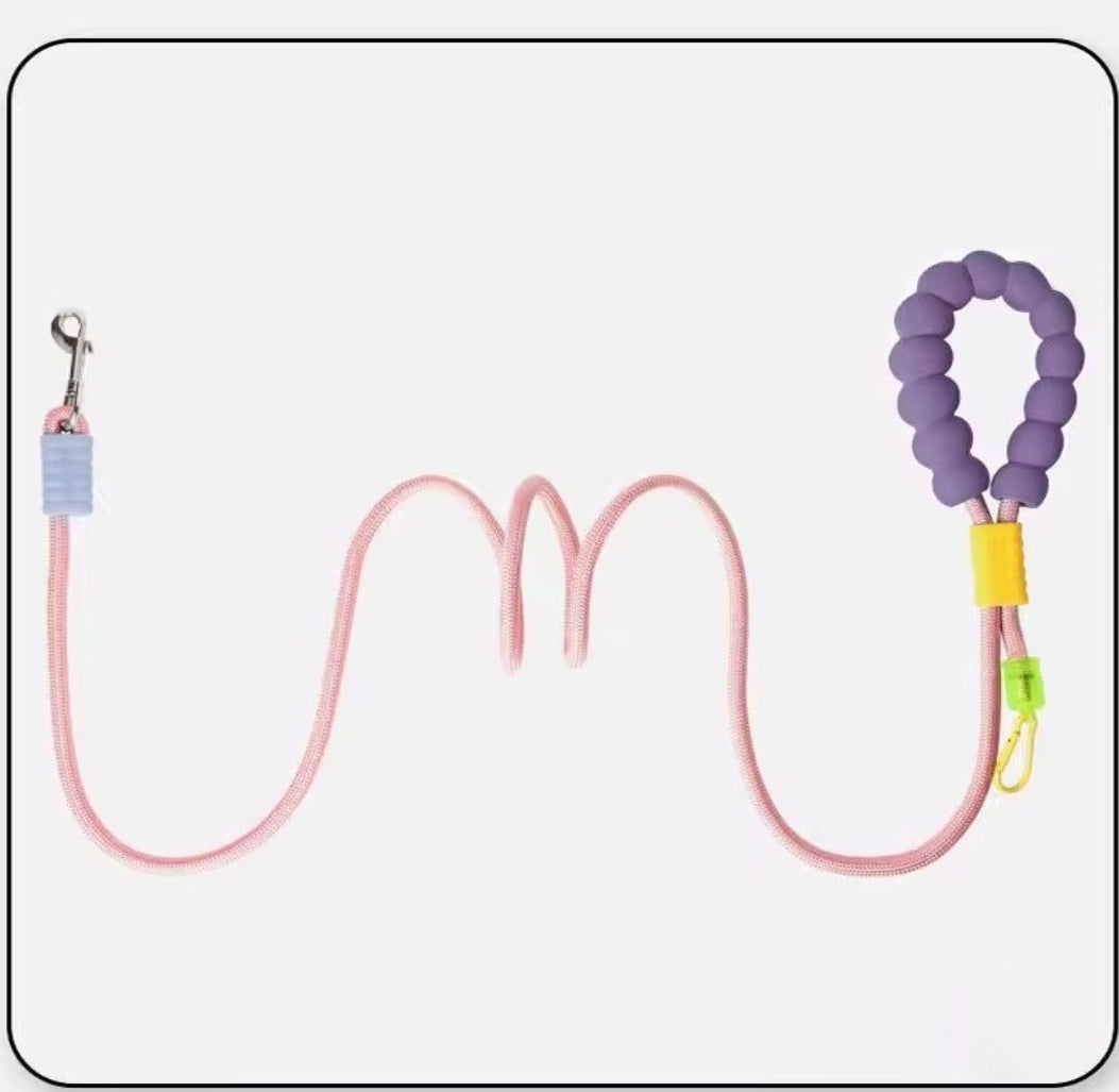 Multi-functional Dog Leash