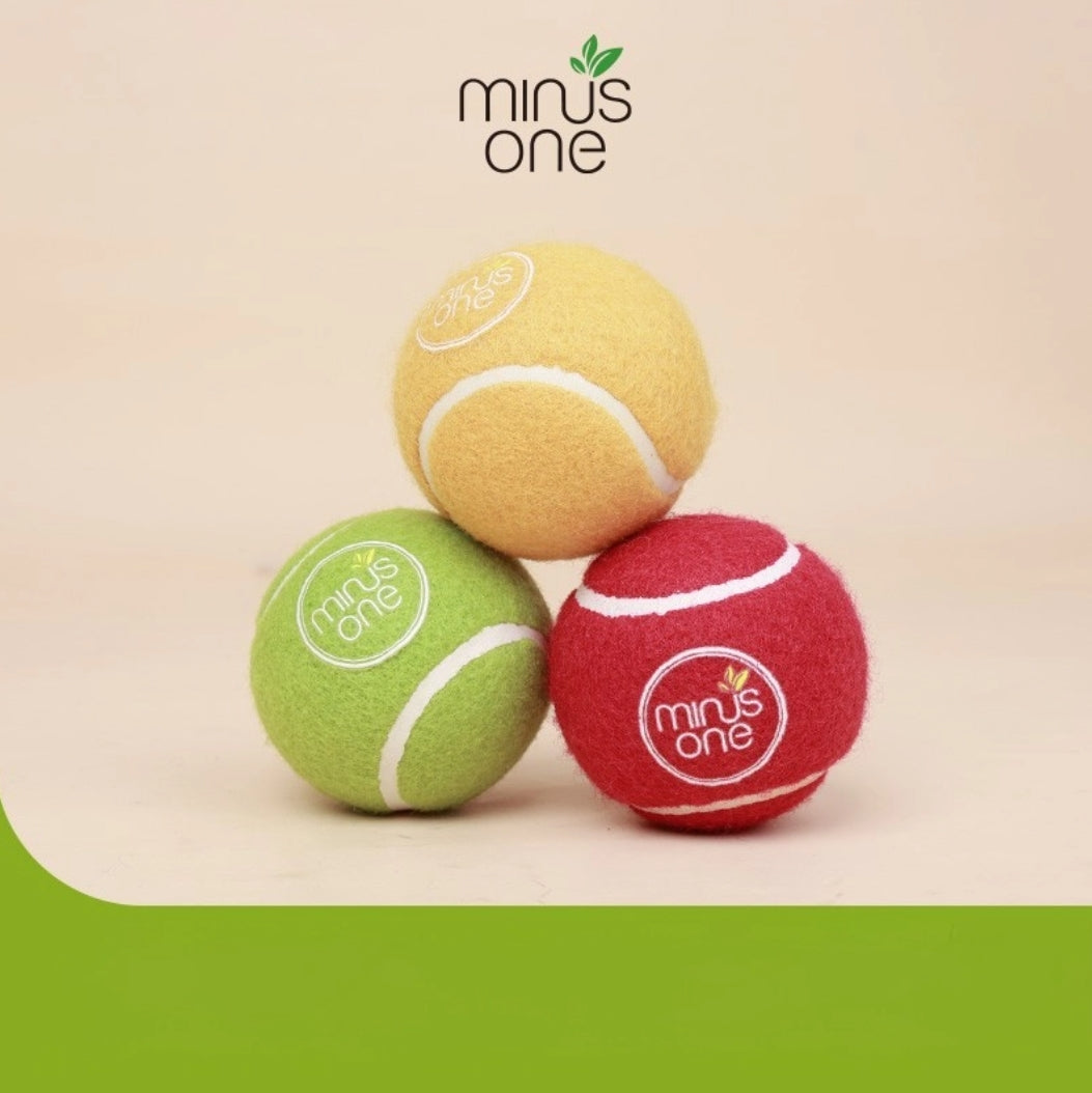 Elastic Tennis Ball Toy