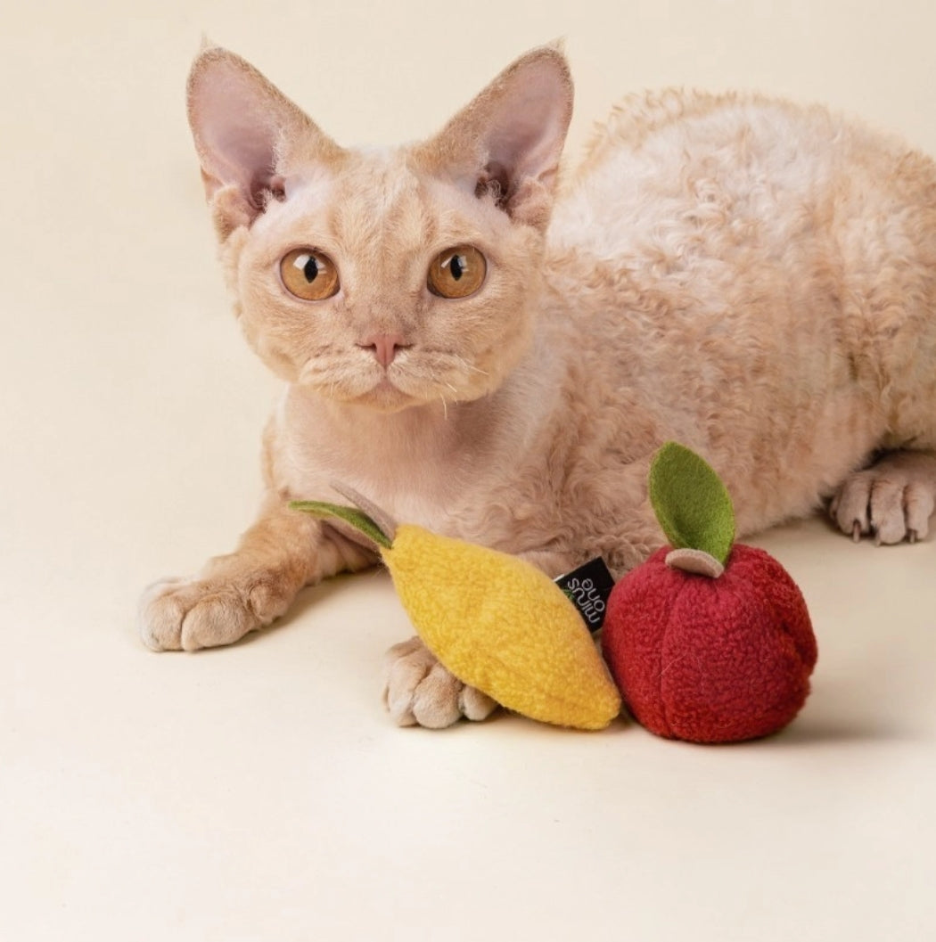 Felt Fruit Toys