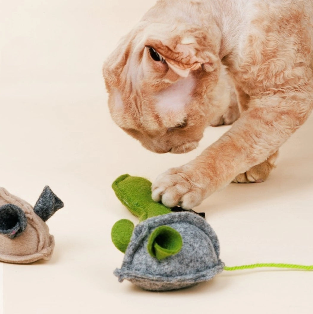Felt Catnip Toys