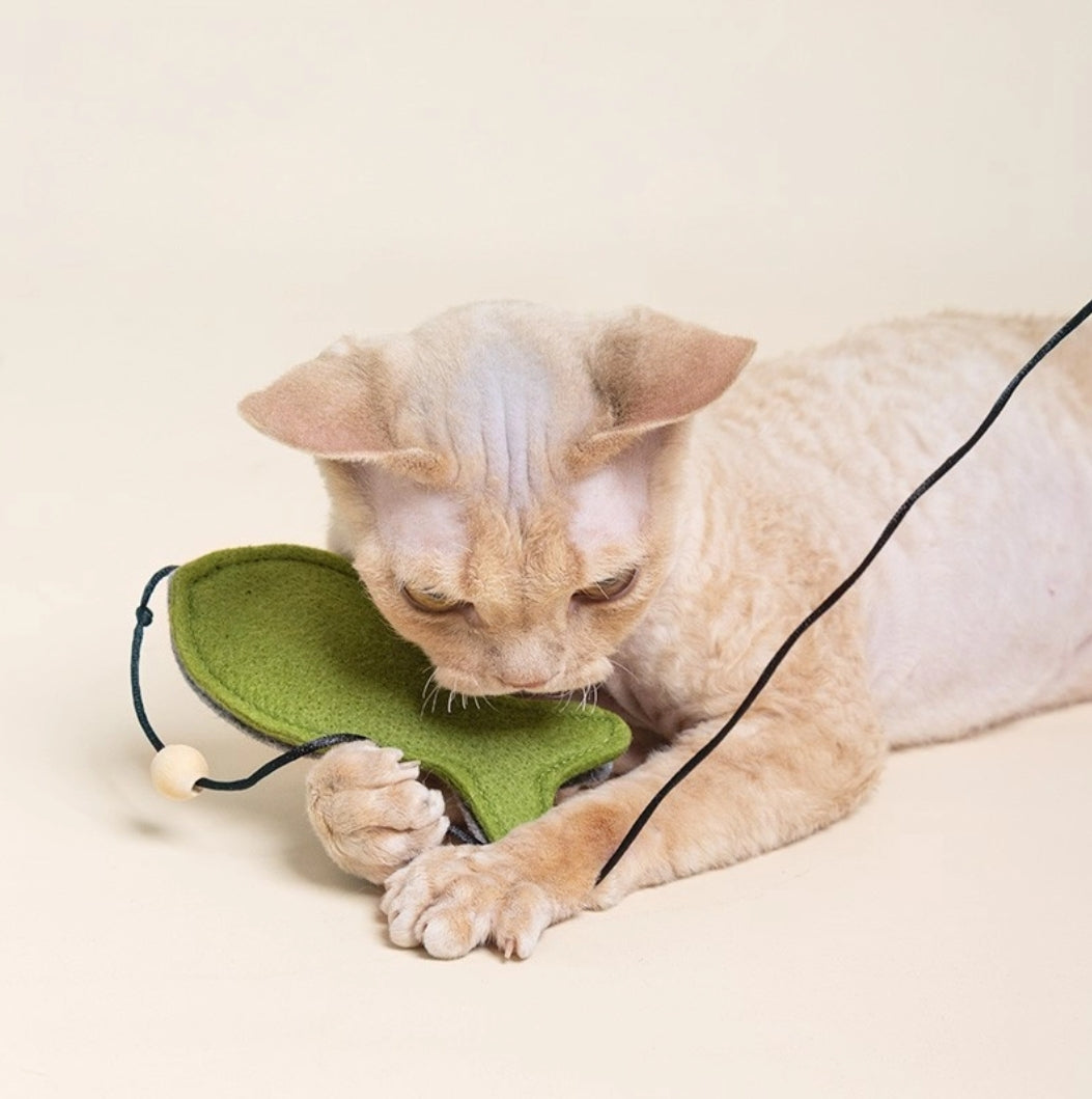 Log Felt Cat Teaser