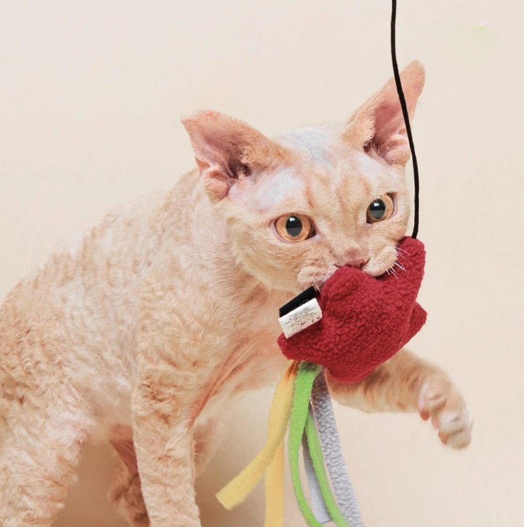 Rain or Shine Cat Toys