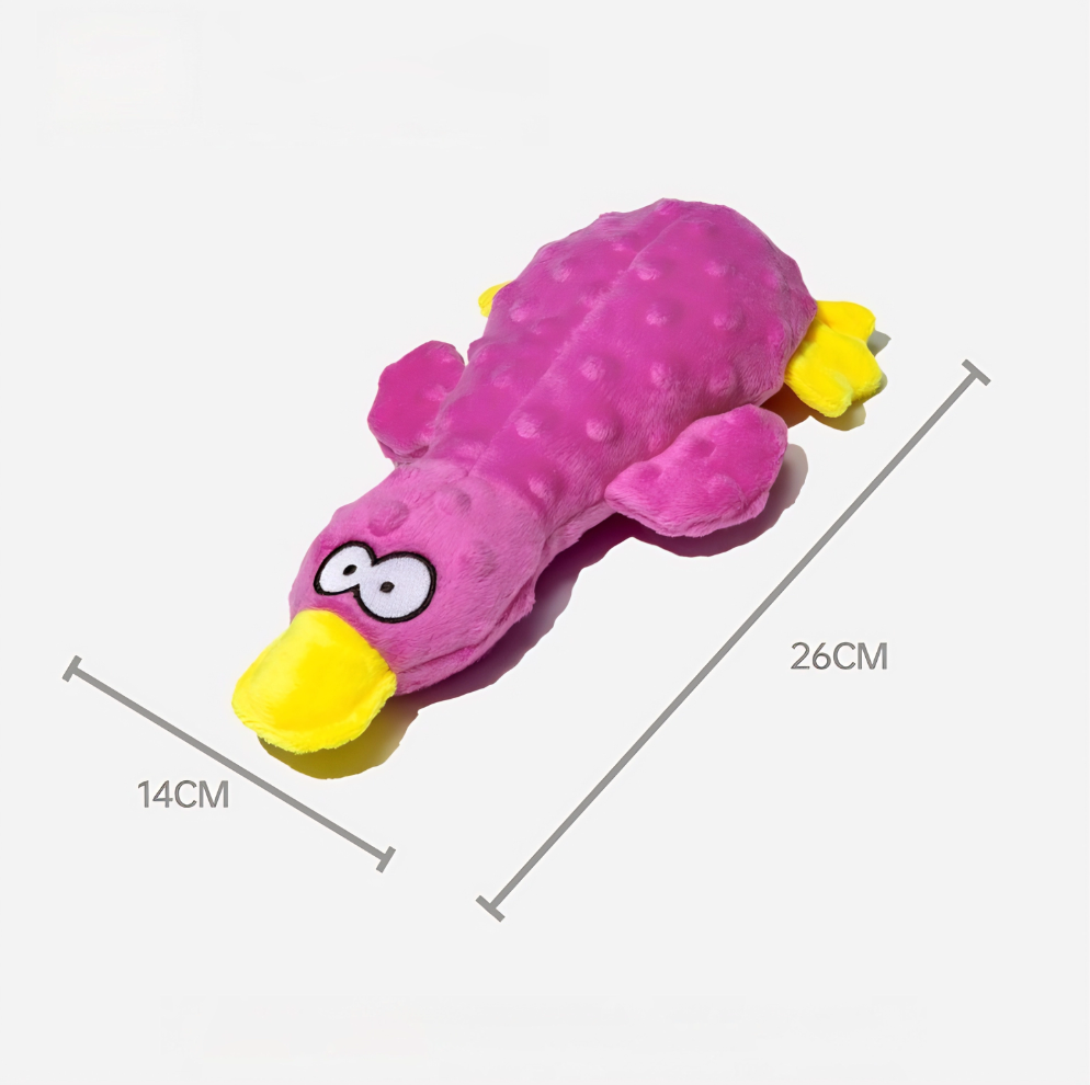 Squeaky Duck Toy