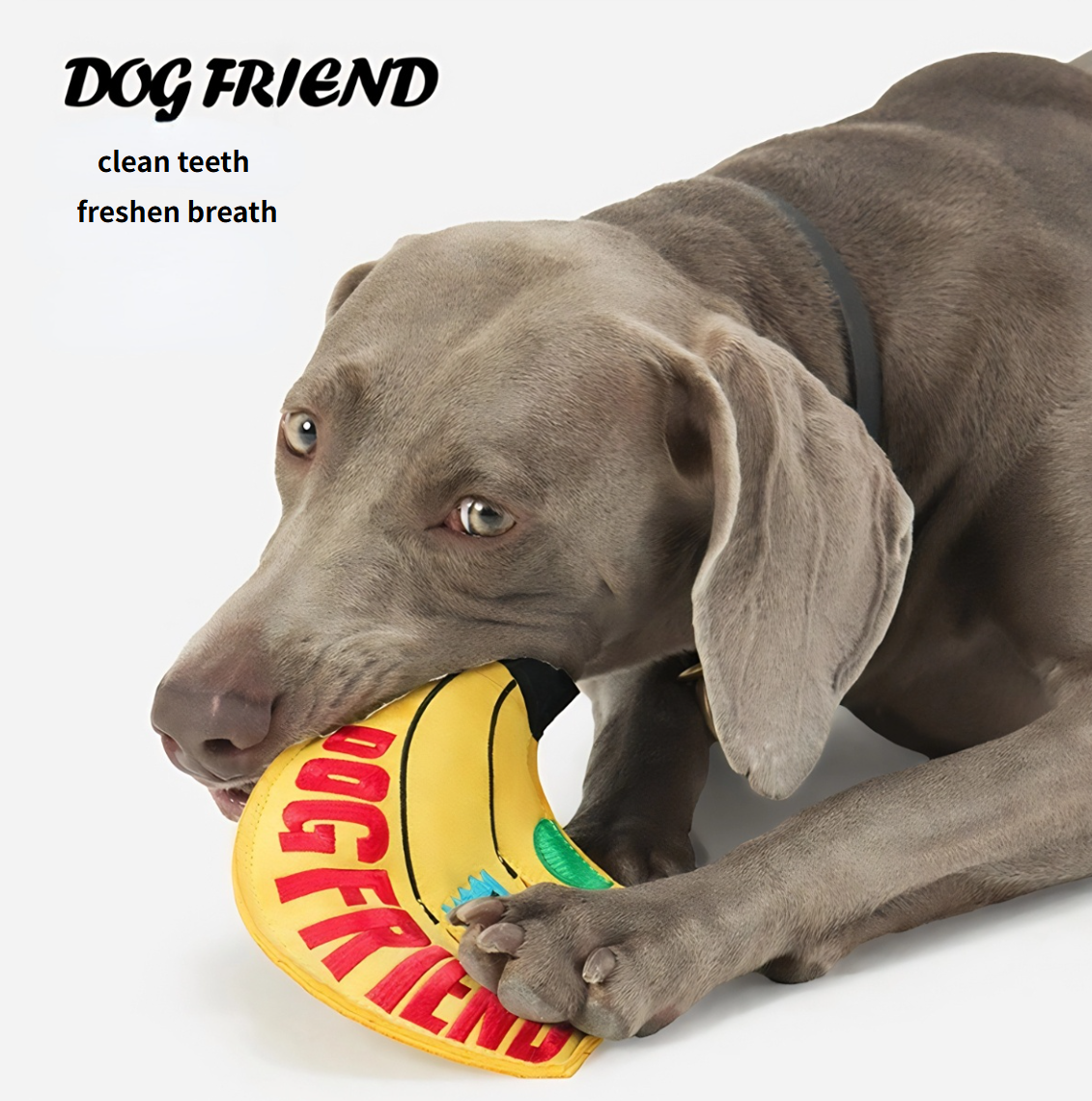 Banana Frisbee