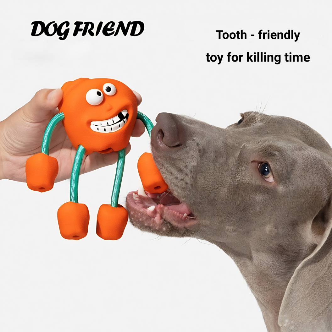 Fun Squeaky Toys