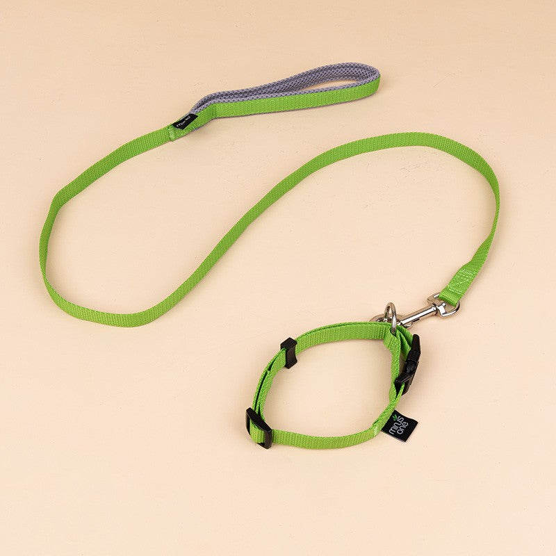 Dog Collar
