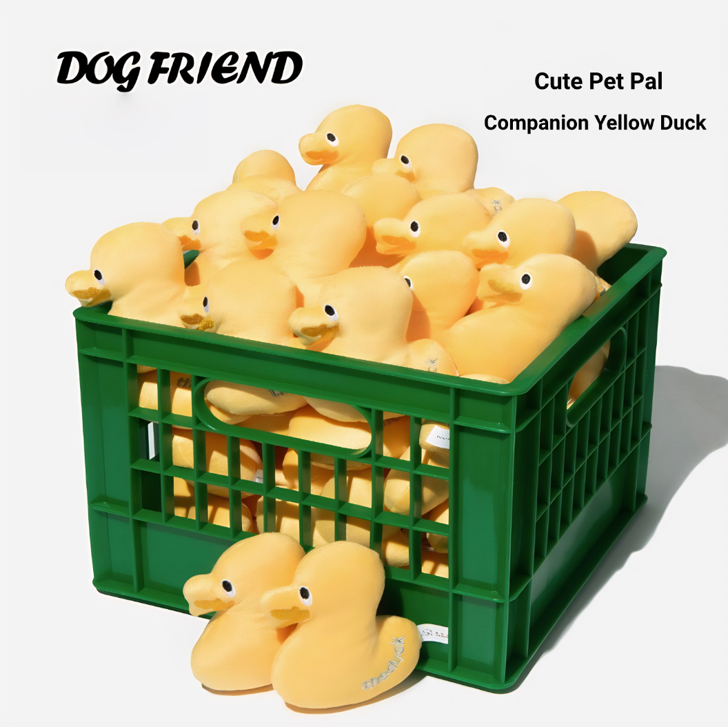 Adorable Squeaky Duck Friends