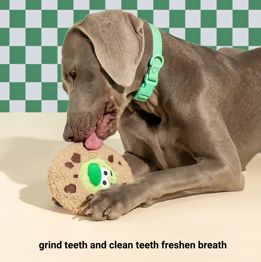 Cookie toy