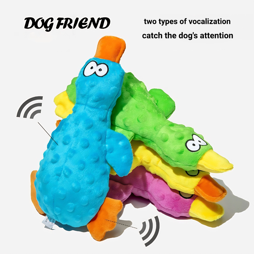 Squeaky Duck Toy