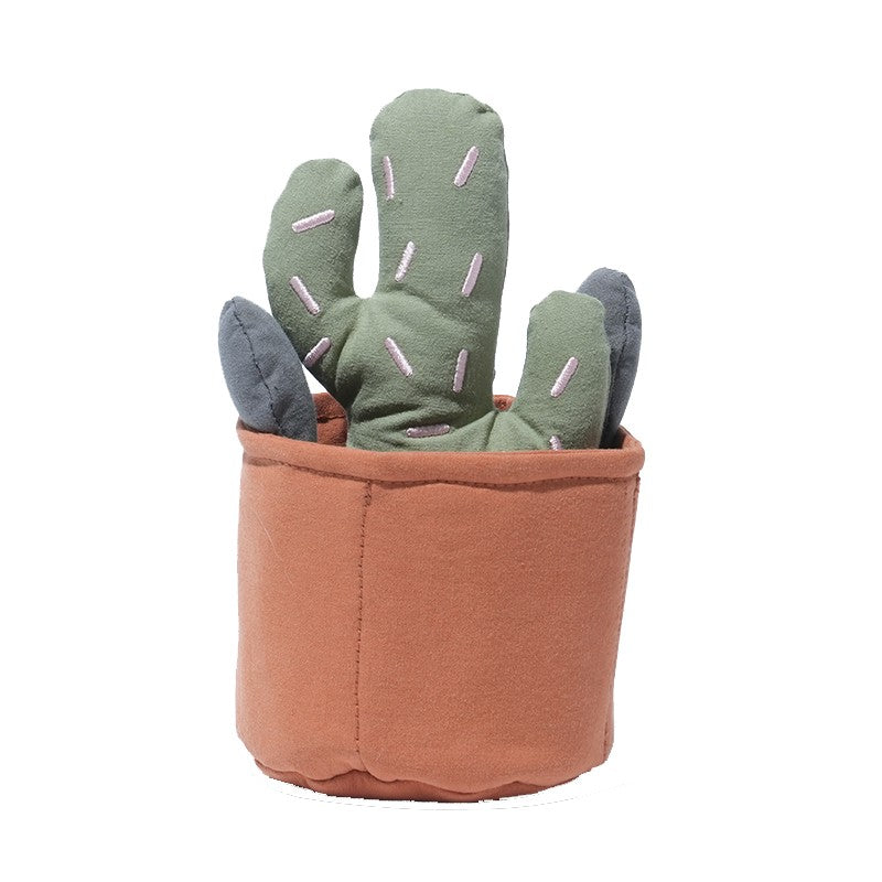 Cactus Nosework Toy