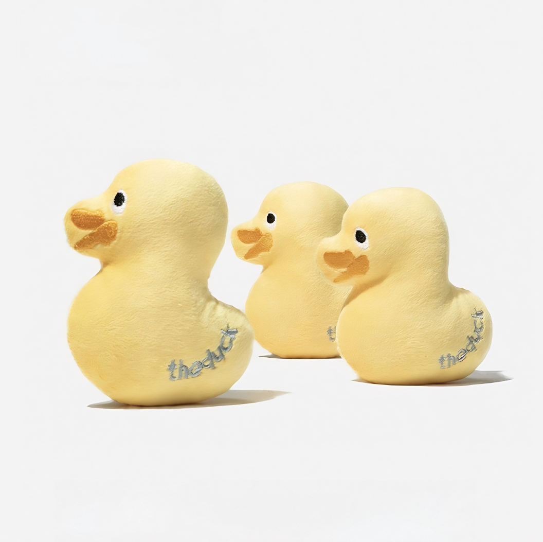 Adorable Squeaky Duck Friends
