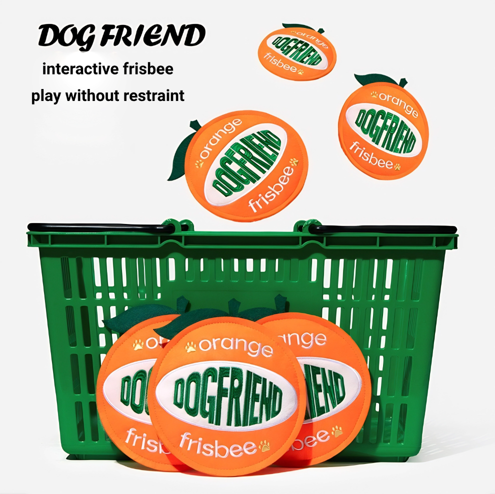 Orange Frisbee Toy