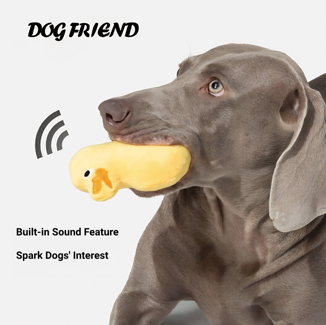Adorable Squeaky Duck Friends