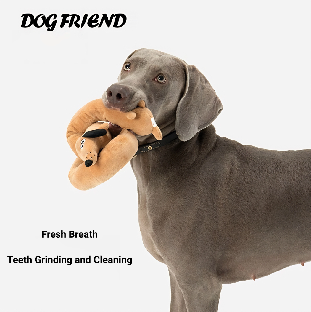 Sausage Dog Chewy Plush Toy