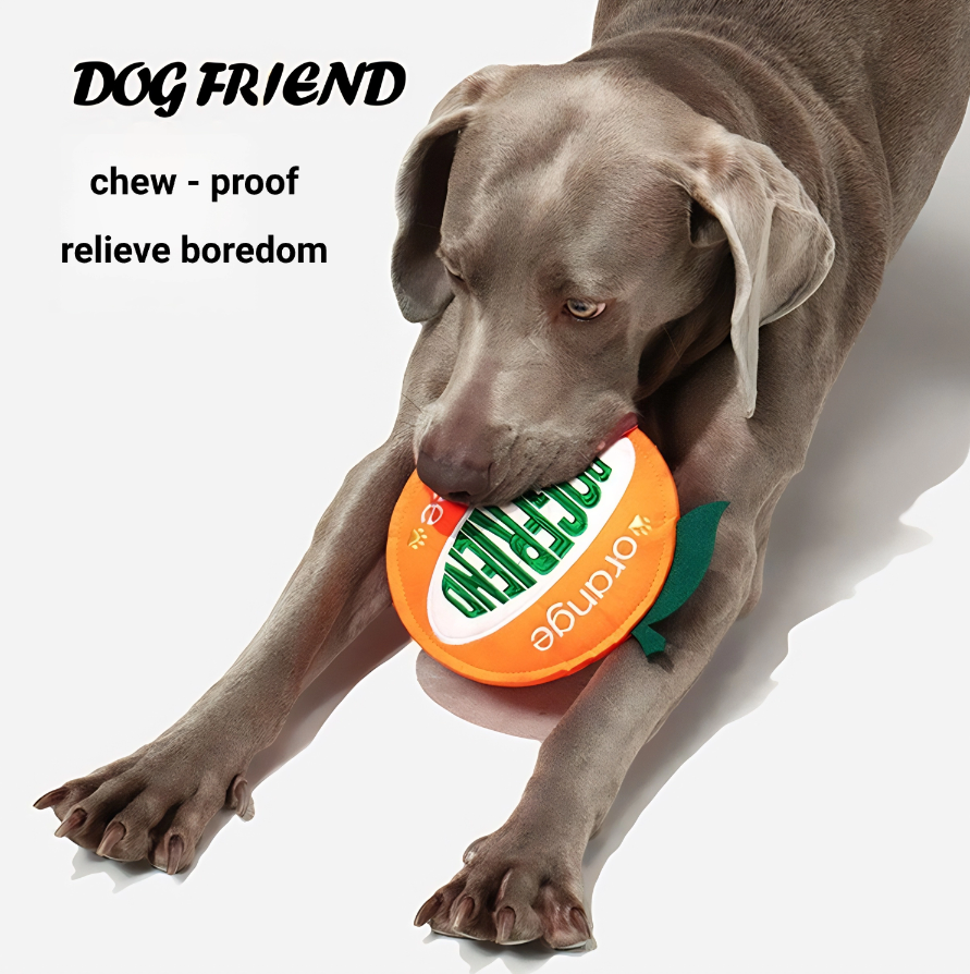 Orange Frisbee Toy