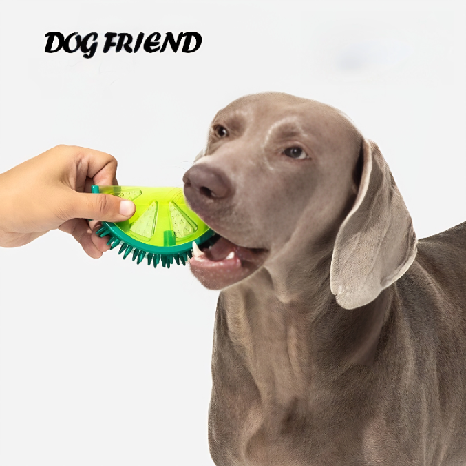 Chewy Squeaky Fruit Dog Toys