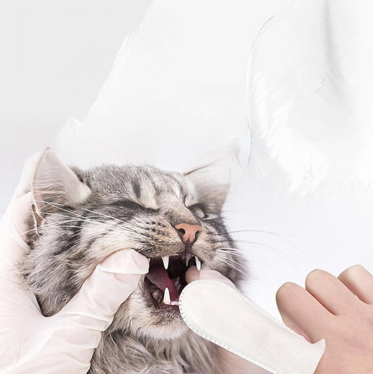 Cleaning and Hygiene