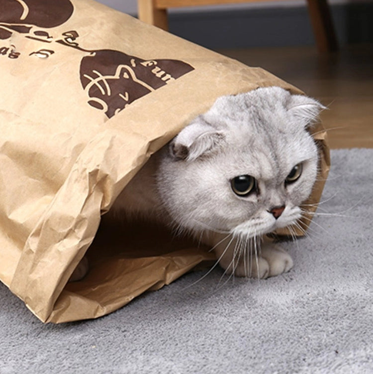 Cat Toys