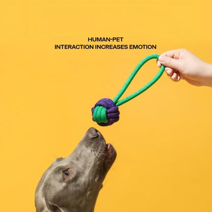 Cotton Knotted Ball Toy