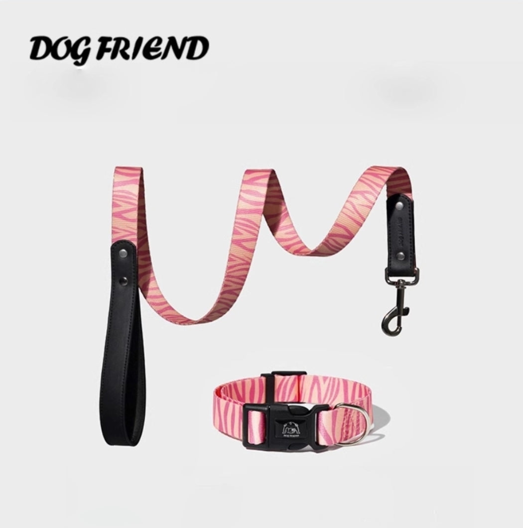 Animal Print Dog Collar and Leash Set