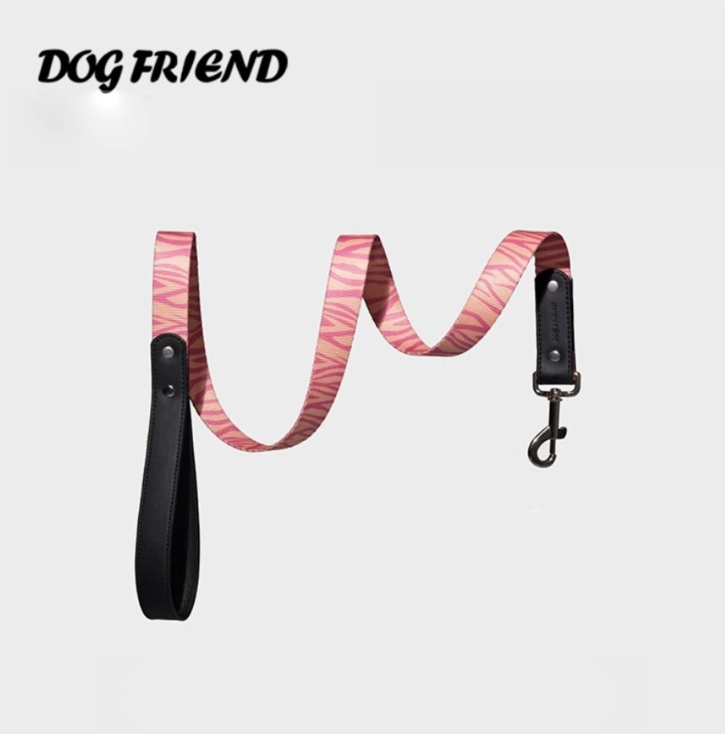 Animal Print Dog Collar and Leash Set