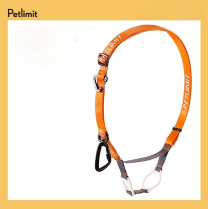 PetLimit: Hands-free Leash Adapter