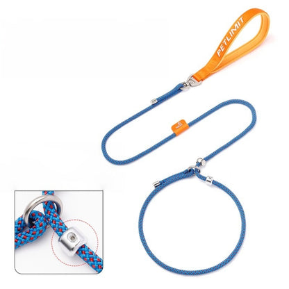 Petlimit: Dog P Chain Slip Leash