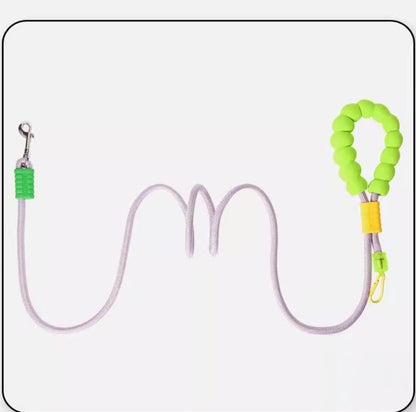 Multi-functional Dog Leash