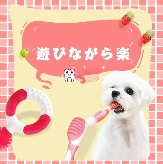 Dental Chew Toy