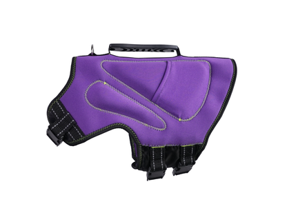MudPuppy Life Vest for Dogs