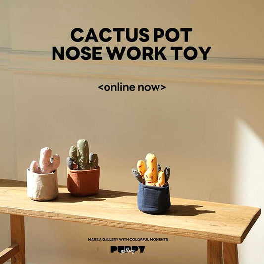 Cactus Nosework Toy
