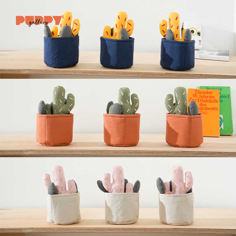 Cactus Nosework Toy