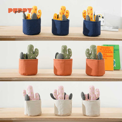 Cactus Nosework Toy