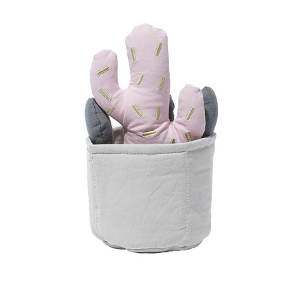 Cactus Nosework Toy