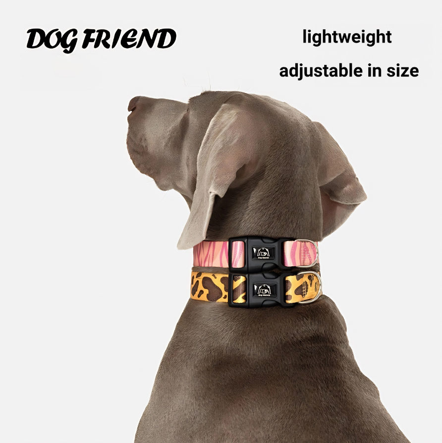 Animal Print Dog Collar and Leash Set