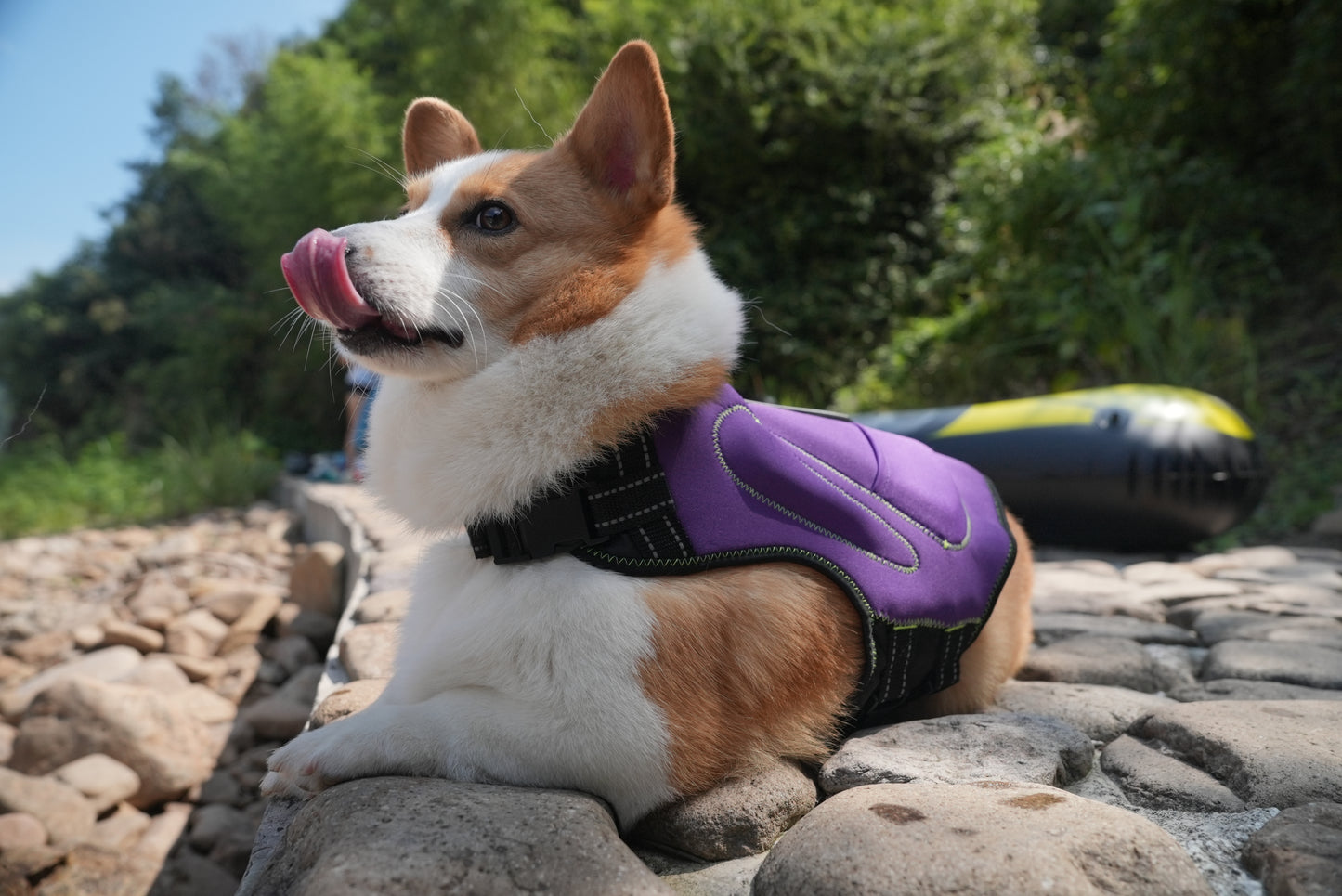 MudPuppy Life Vest for Dogs